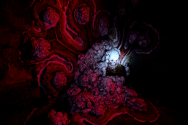 img-enigme-the-last-hope-dernier-espoir-252ECF532-97CA-F7D8-3771-5EF2AE9ECE78.png