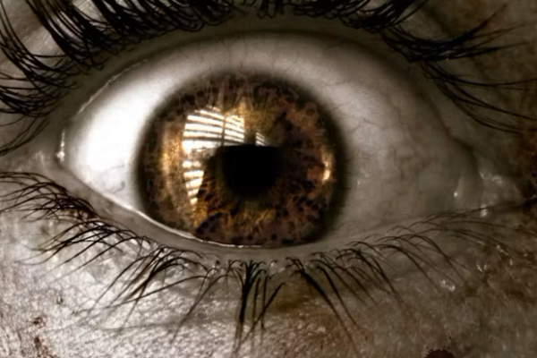 capturebbb9D2BA8FE-3F96-216D-341E-AFF4BAA57A0D.png